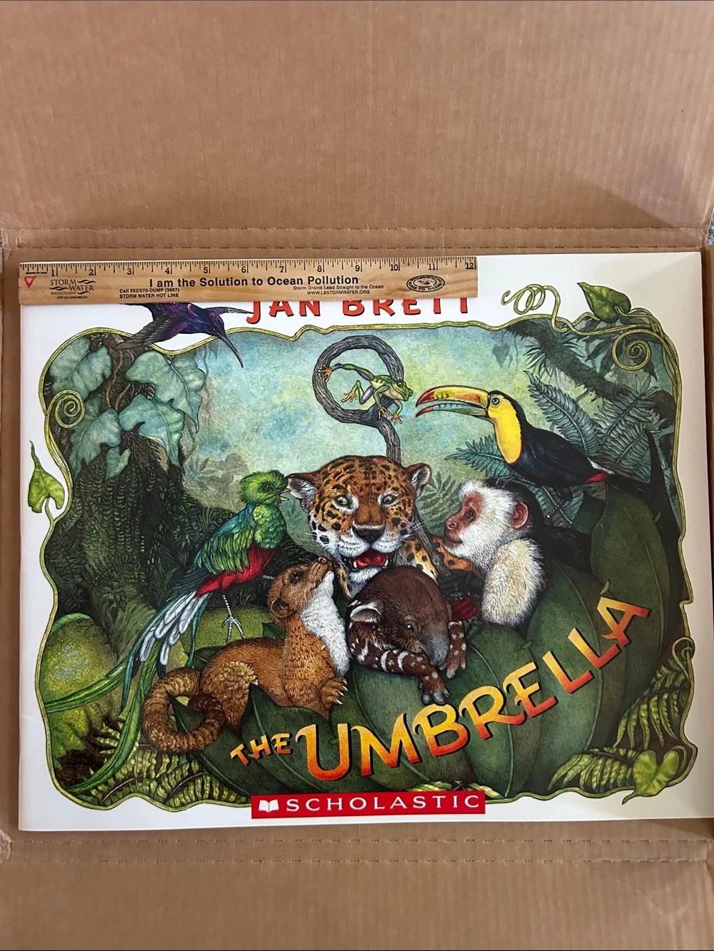 Scholastic Classroom Big Book- The Umbrella